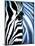 Zebra Face-Cherie Roe Dirksen-Mounted Premium Giclee Print