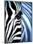 Zebra Face-Cherie Roe Dirksen-Mounted Premium Giclee Print