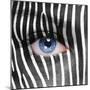 Zebra Face-kwasny221-Mounted Photographic Print