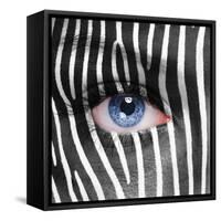 Zebra Face-kwasny221-Framed Stretched Canvas