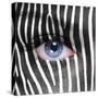 Zebra Face-kwasny221-Stretched Canvas