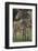 Zebra Foal and Mother-DLILLC-Framed Photographic Print