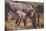 Zebra Foal with Adults-DLILLC-Mounted Photographic Print