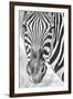 Zebra Focus-Catherina Unger-Framed Giclee Print