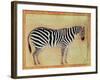 Zebra, from the "Minto Album," Mughal, 1621-Ustad Mansur-Framed Giclee Print