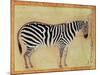 Zebra, from the "Minto Album," Mughal, 1621-Ustad Mansur-Mounted Giclee Print