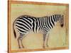 Zebra, from the "Minto Album," Mughal, 1621-Ustad Mansur-Stretched Canvas