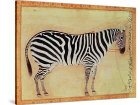 Zebra, from the "Minto Album," Mughal, 1621-Ustad Mansur-Stretched Canvas