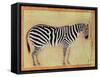 Zebra, from the "Minto Album," Mughal, 1621-Ustad Mansur-Framed Stretched Canvas