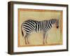 Zebra, from the "Minto Album," Mughal, 1621-Ustad Mansur-Framed Giclee Print