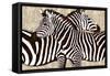 Zebra Gathering-Darren Davison-Framed Stretched Canvas