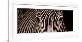 Zebra Grevy-Marina Cano-Framed Art Print