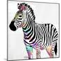 Zebra Head Colorful-OnRei-Mounted Premium Giclee Print