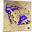 Zebra Heel Blue-Roderick E. Stevens-Mounted Giclee Print