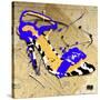 Zebra Heel Blue-Roderick E. Stevens-Stretched Canvas