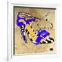 Zebra Heel Blue-Roderick E. Stevens-Framed Giclee Print