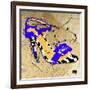 Zebra Heel Blue-Roderick E. Stevens-Framed Giclee Print