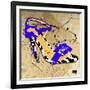 Zebra Heel Blue-Roderick E. Stevens-Framed Giclee Print