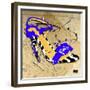 Zebra Heel Blue-Roderick E. Stevens-Framed Giclee Print