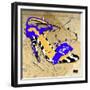 Zebra Heel Blue-Roderick E. Stevens-Framed Giclee Print