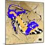 Zebra Heel Blue-Roderick E. Stevens-Mounted Giclee Print