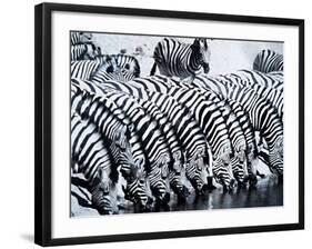 Zebra Herd Drinking at a Water Hole Etosha Game Reserve in Namibia Africa-null-Framed Photographic Print