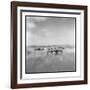 Zebra Herd, Masai Mara Game Reserve, Kenya-Paul Souders-Framed Photographic Print