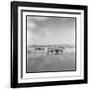 Zebra Herd, Masai Mara Game Reserve, Kenya-Paul Souders-Framed Photographic Print