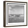 Zebra Herd, Masai Mara Game Reserve, Kenya-Paul Souders-Framed Photographic Print