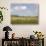 Zebra Herd, Serengeti National Park, Tanzania-Joe & Mary Ann McDonald-Photographic Print displayed on a wall