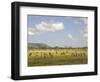 Zebra Herd, Serengeti National Park, Tanzania-Joe & Mary Ann McDonald-Framed Photographic Print