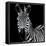 Zebra II Square-Debra Van Swearingen-Framed Stretched Canvas