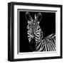 Zebra II Square-Debra Van Swearingen-Framed Art Print