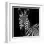 Zebra II Square-Debra Van Swearingen-Framed Art Print