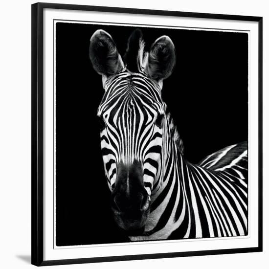 Zebra II Square-Debra Van Swearingen-Framed Premium Giclee Print