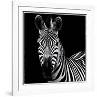 Zebra II Square-Debra Van Swearingen-Framed Art Print