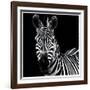 Zebra II Square-Debra Van Swearingen-Framed Art Print