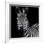 Zebra II Square-Debra Van Swearingen-Framed Art Print