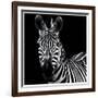 Zebra II Square-Debra Van Swearingen-Framed Art Print