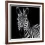 Zebra II Square-Debra Van Swearingen-Framed Art Print