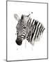 Zebra II-Philippe Debongnie-Mounted Art Print