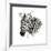 Zebra II-Philippe Debongnie-Framed Giclee Print