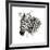 Zebra II-Philippe Debongnie-Framed Giclee Print