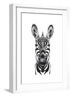 Zebra Illustration-Incado-Framed Art Print