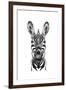 Zebra Illustration-Incado-Framed Art Print