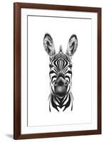 Zebra Illustration-Incado-Framed Art Print