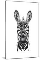 Zebra Illustration-Incado-Mounted Art Print