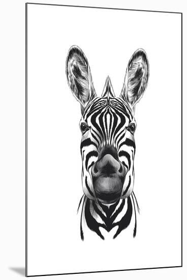 Zebra Illustration-Incado-Mounted Art Print