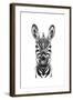 Zebra Illustration-Incado-Framed Art Print