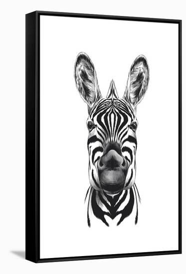 Zebra Illustration-Incado-Framed Stretched Canvas